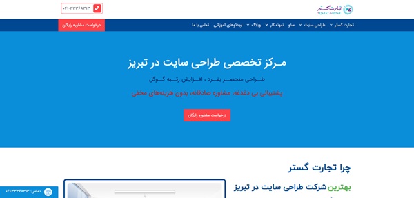  شرکت طراحی سایت TGSH